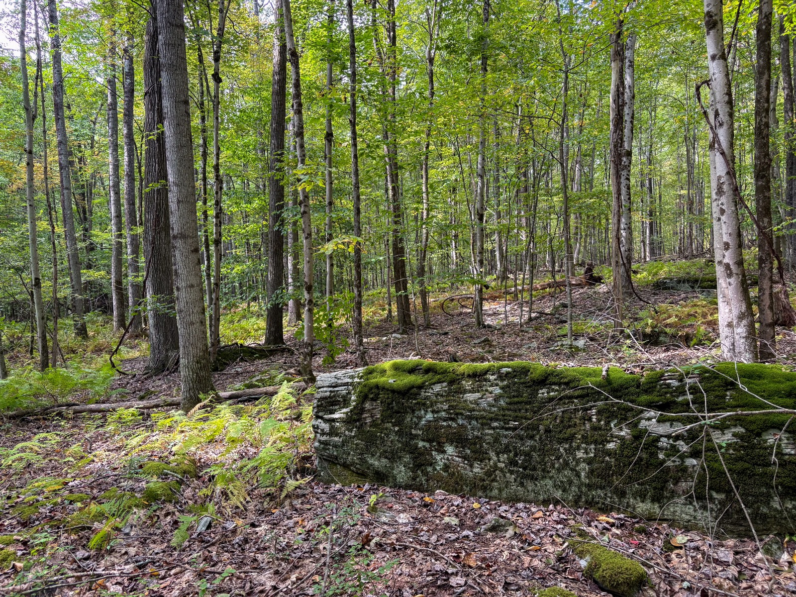 #23 photo, Private ROW off Warren Rd, Hancock , NY 13783