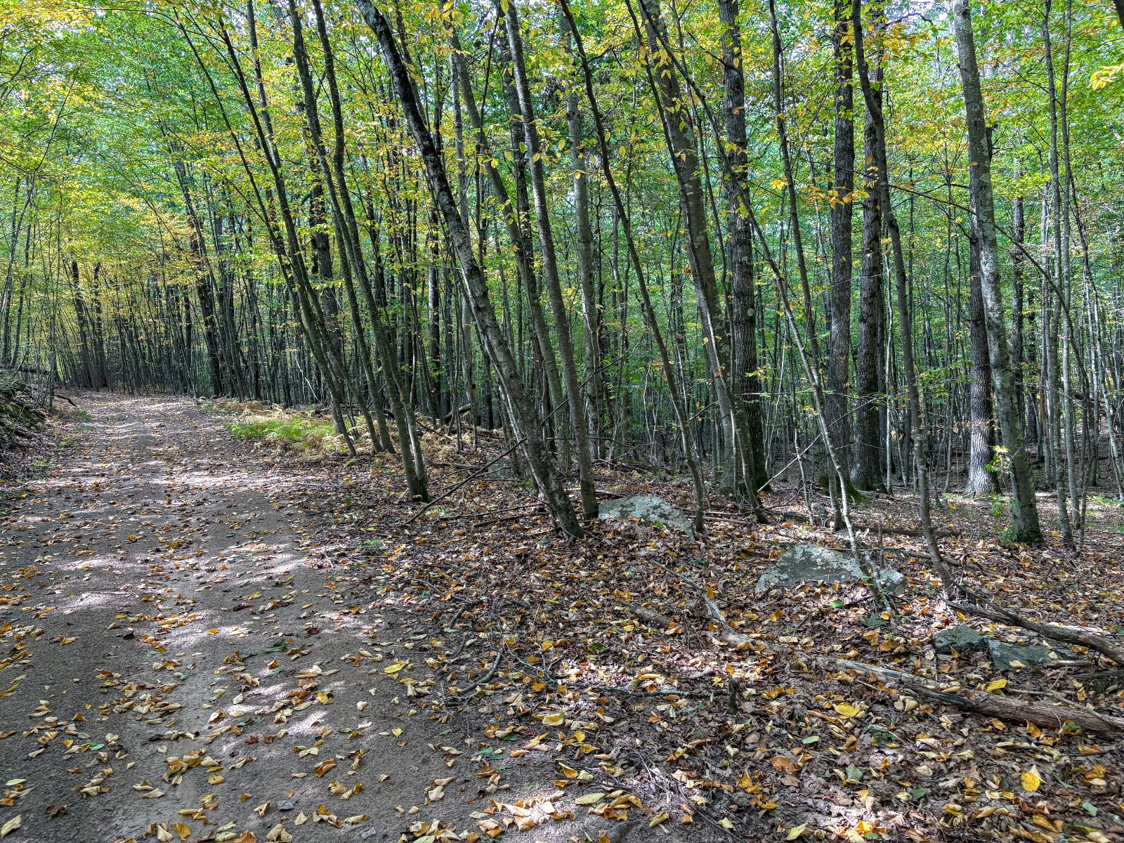 #28 photo, Private ROW off Warren Rd, Hancock , NY 13783