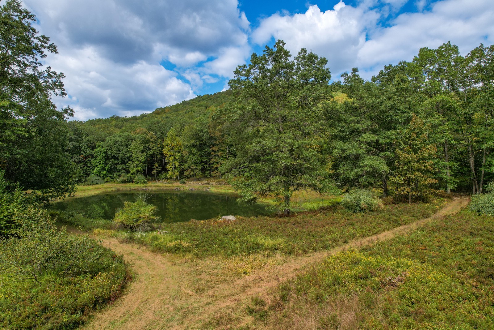 #29 photo, Private ROW off Warren Rd, Hancock , NY 13783