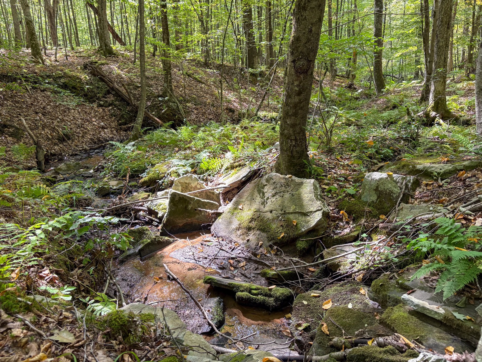 #32 photo, Private ROW off Warren Rd, Hancock , NY 13783