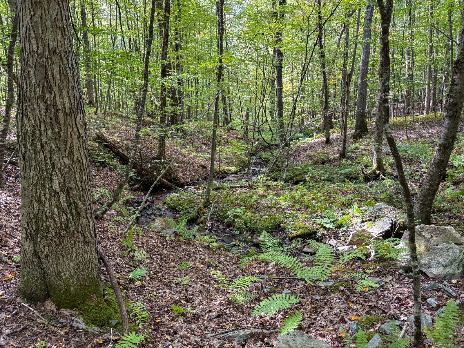 #33 photo, Private ROW off Warren Rd, Hancock , NY 13783