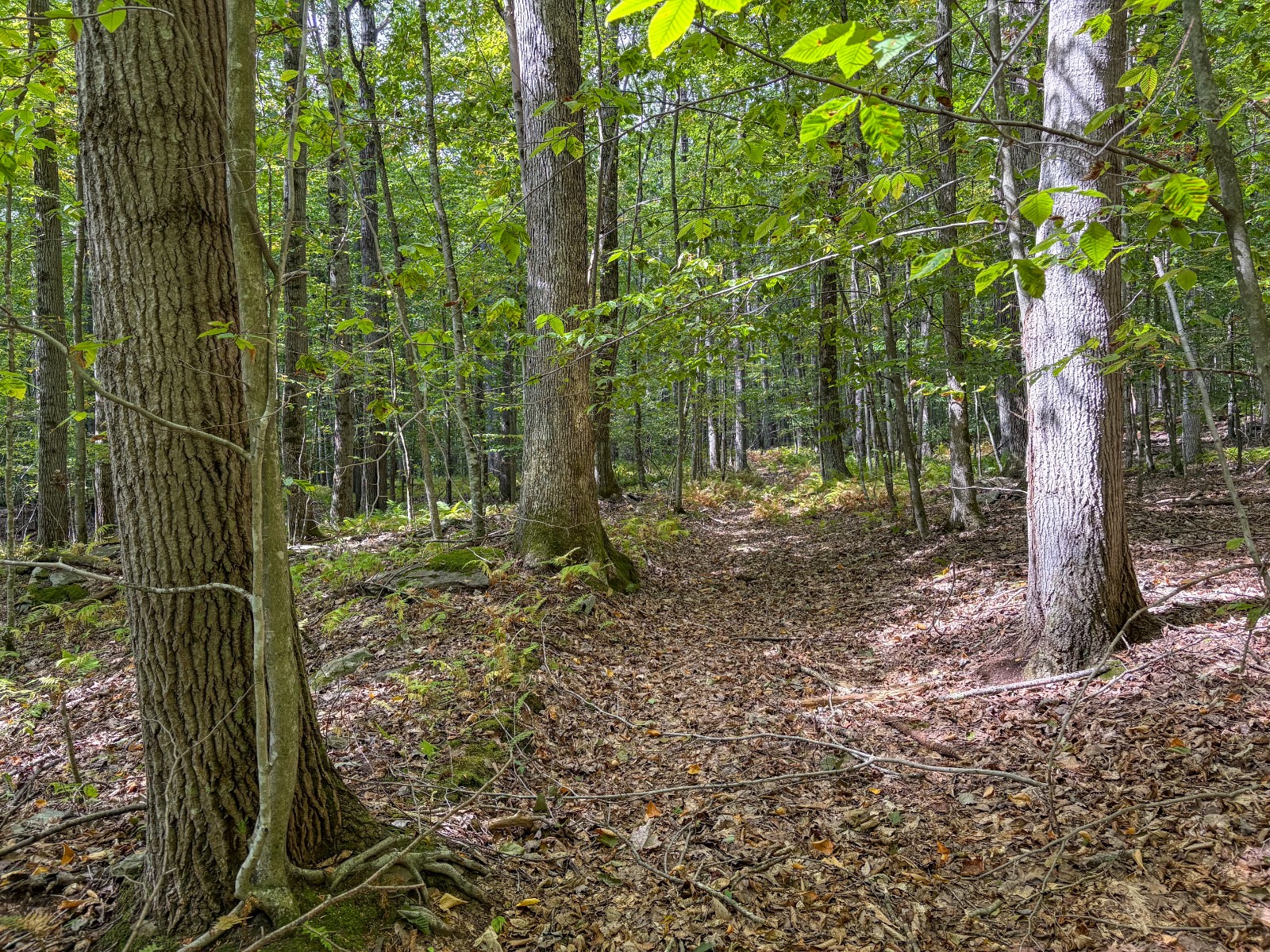 #34 photo, Private ROW off Warren Rd, Hancock , NY 13783