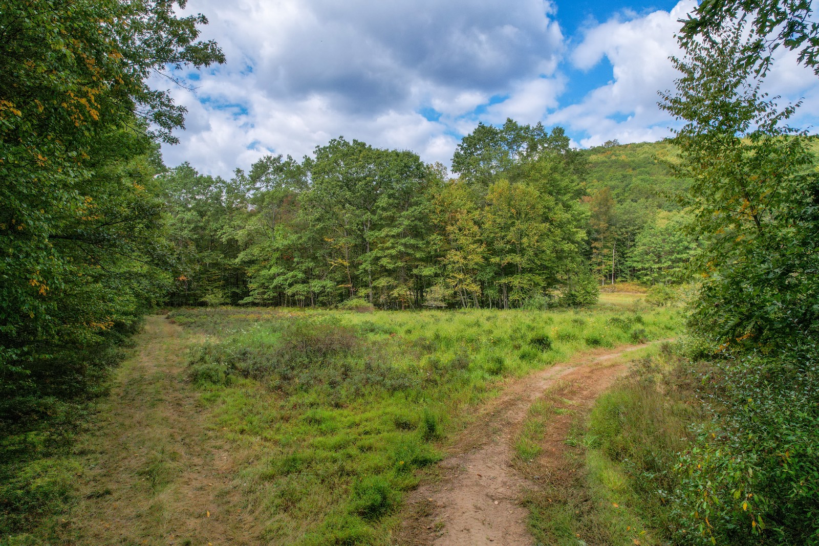 #8 photo, Private ROW off Warren Rd, Hancock , NY 13783