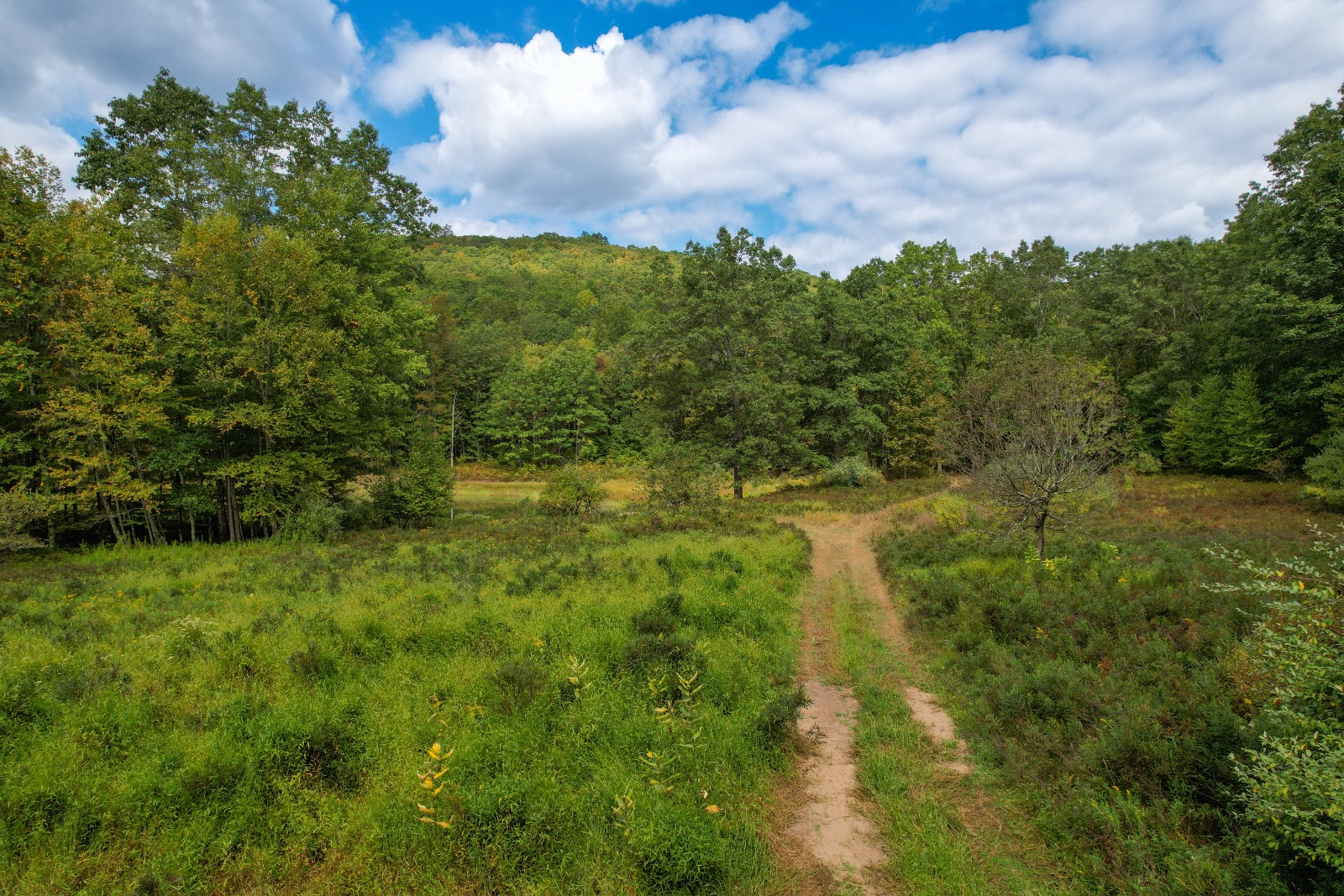 #9 photo, Private ROW off Warren Rd, Hancock , NY 13783