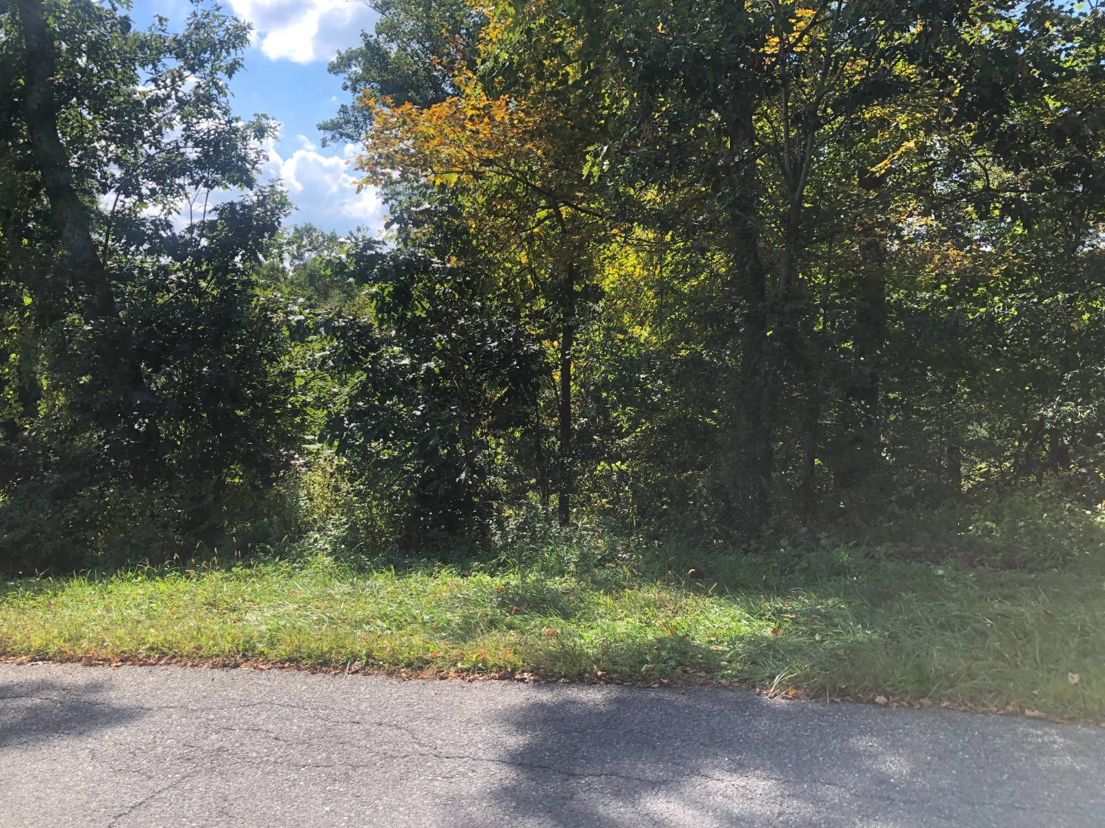 #1 photo, 56 Empire Dr, Patterson , NY 12563