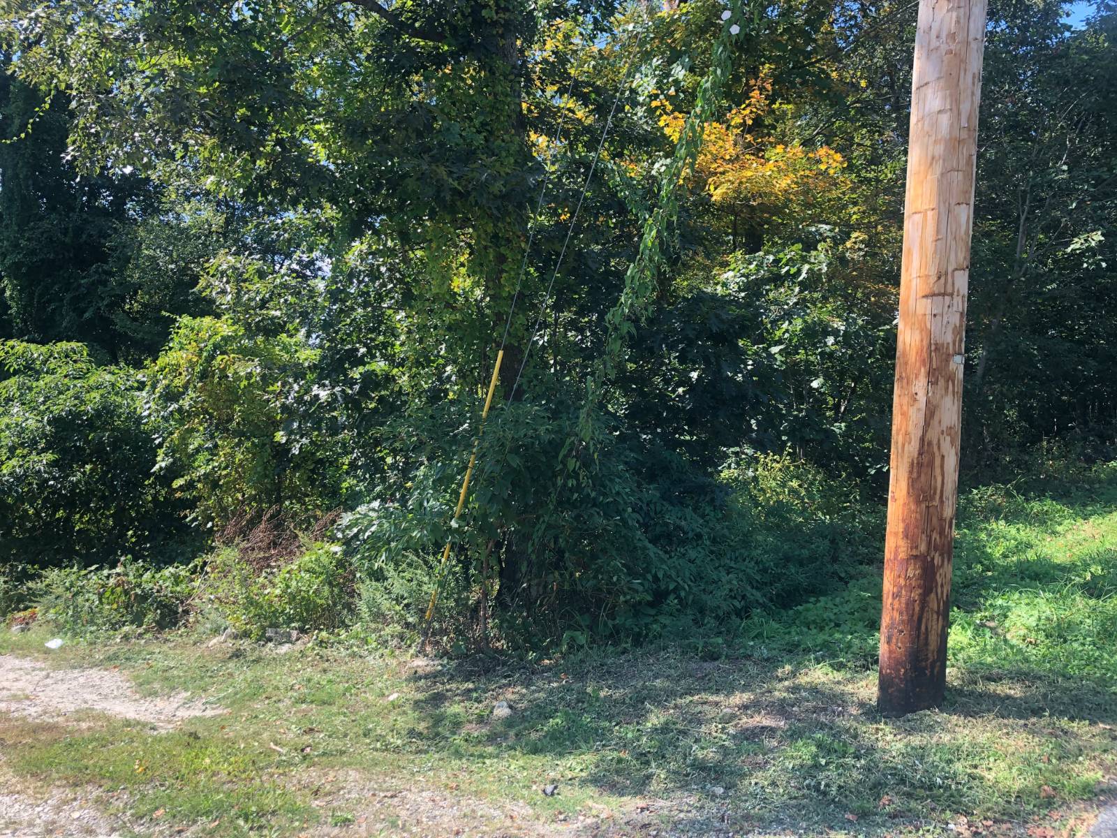 #2 photo, 56 Empire Dr, Patterson , NY 12563