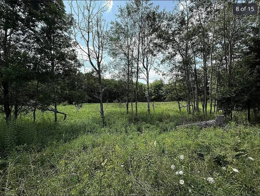 #10 photo, OO DIMMICK MOUNTAIN RD., Fleischmanns , NY 12430