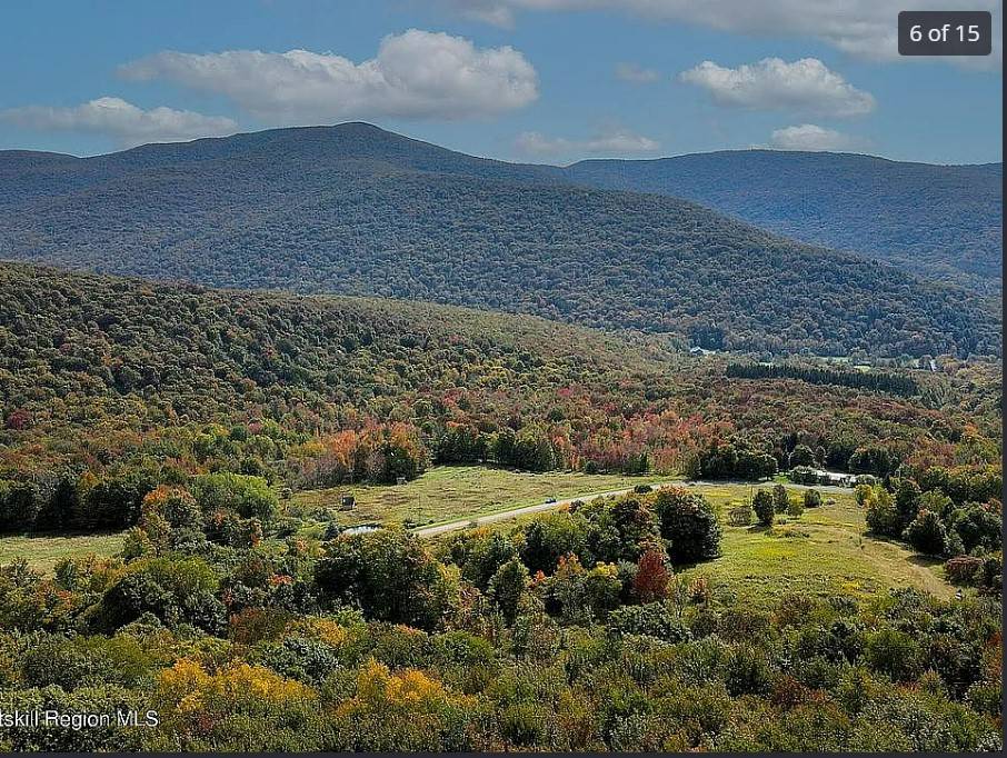 #12 photo, OO DIMMICK MOUNTAIN RD., Fleischmanns , NY 12430
