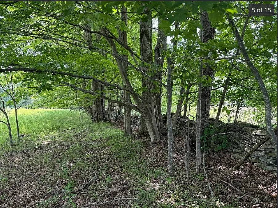 #13 photo, OO DIMMICK MOUNTAIN RD., Fleischmanns , NY 12430