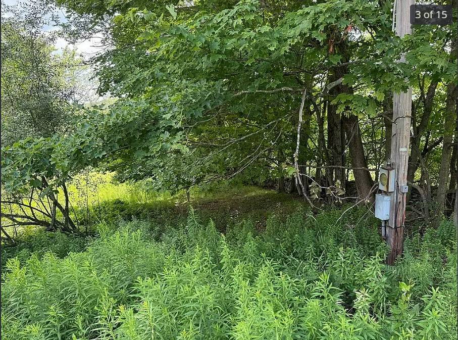 #14 photo, OO DIMMICK MOUNTAIN RD., Fleischmanns , NY 12430