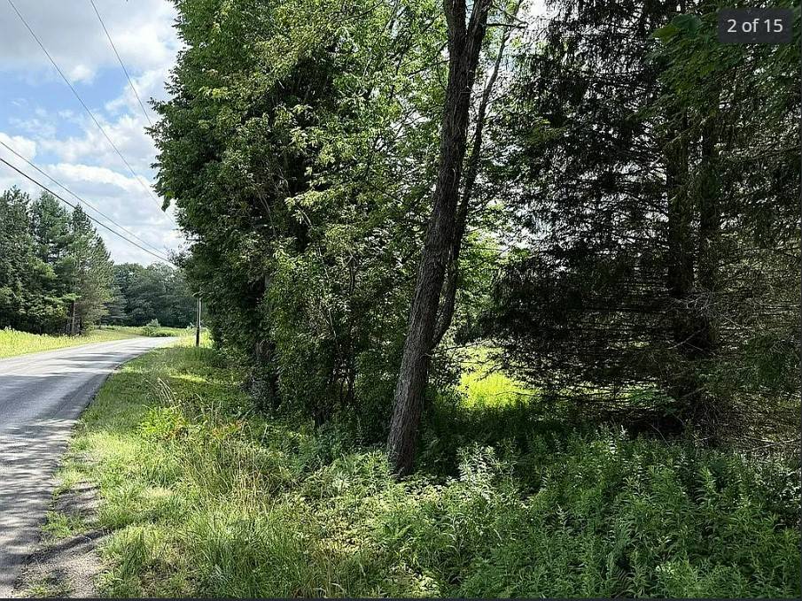 #15 photo, OO DIMMICK MOUNTAIN RD., Fleischmanns , NY 12430