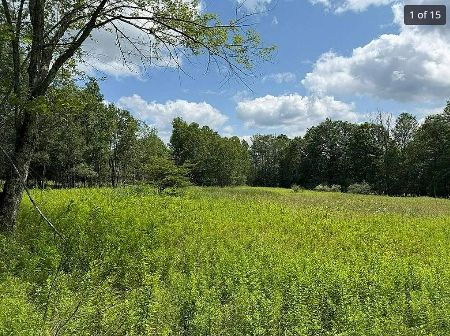 #16 photo, OO DIMMICK MOUNTAIN RD., Fleischmanns , NY 12430