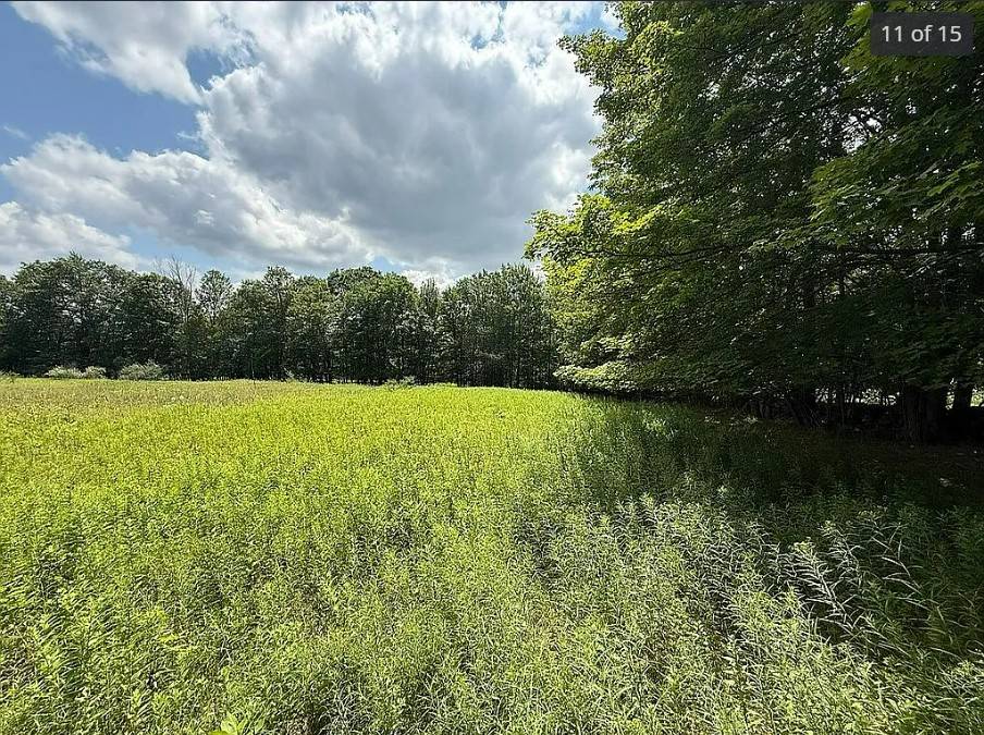 #2 photo, OO DIMMICK MOUNTAIN RD., Fleischmanns , NY 12430