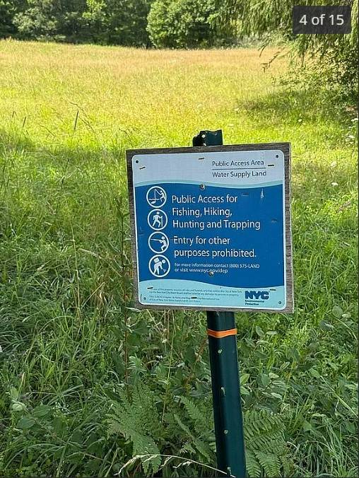 #3 photo, OO DIMMICK MOUNTAIN RD., Fleischmanns , NY 12430