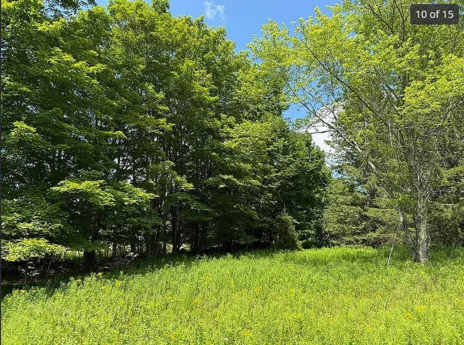 #8 photo, OO DIMMICK MOUNTAIN RD., Fleischmanns , NY 12430