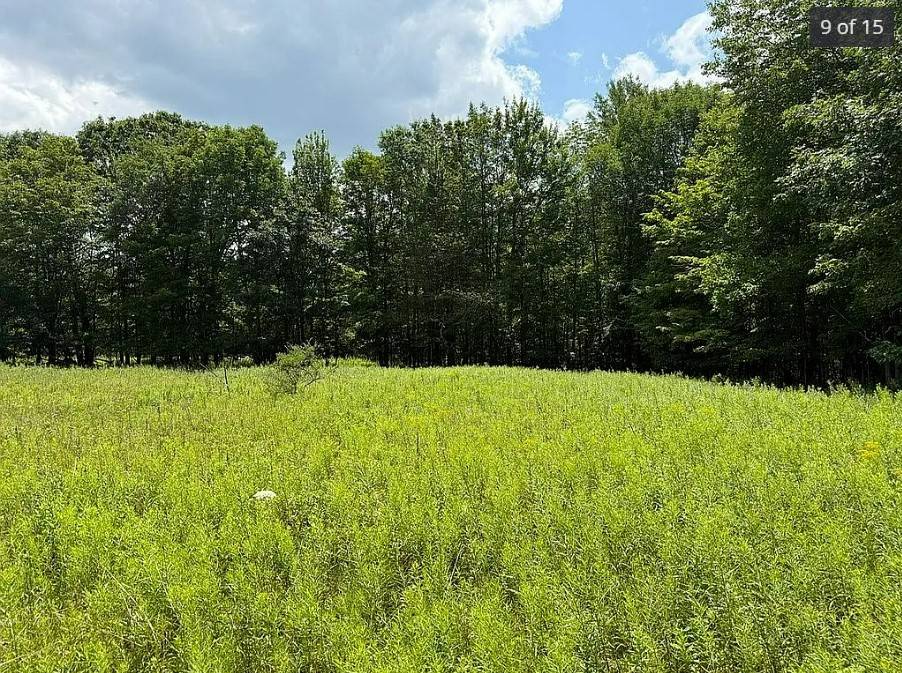 #9 photo, OO DIMMICK MOUNTAIN RD., Fleischmanns , NY 12430