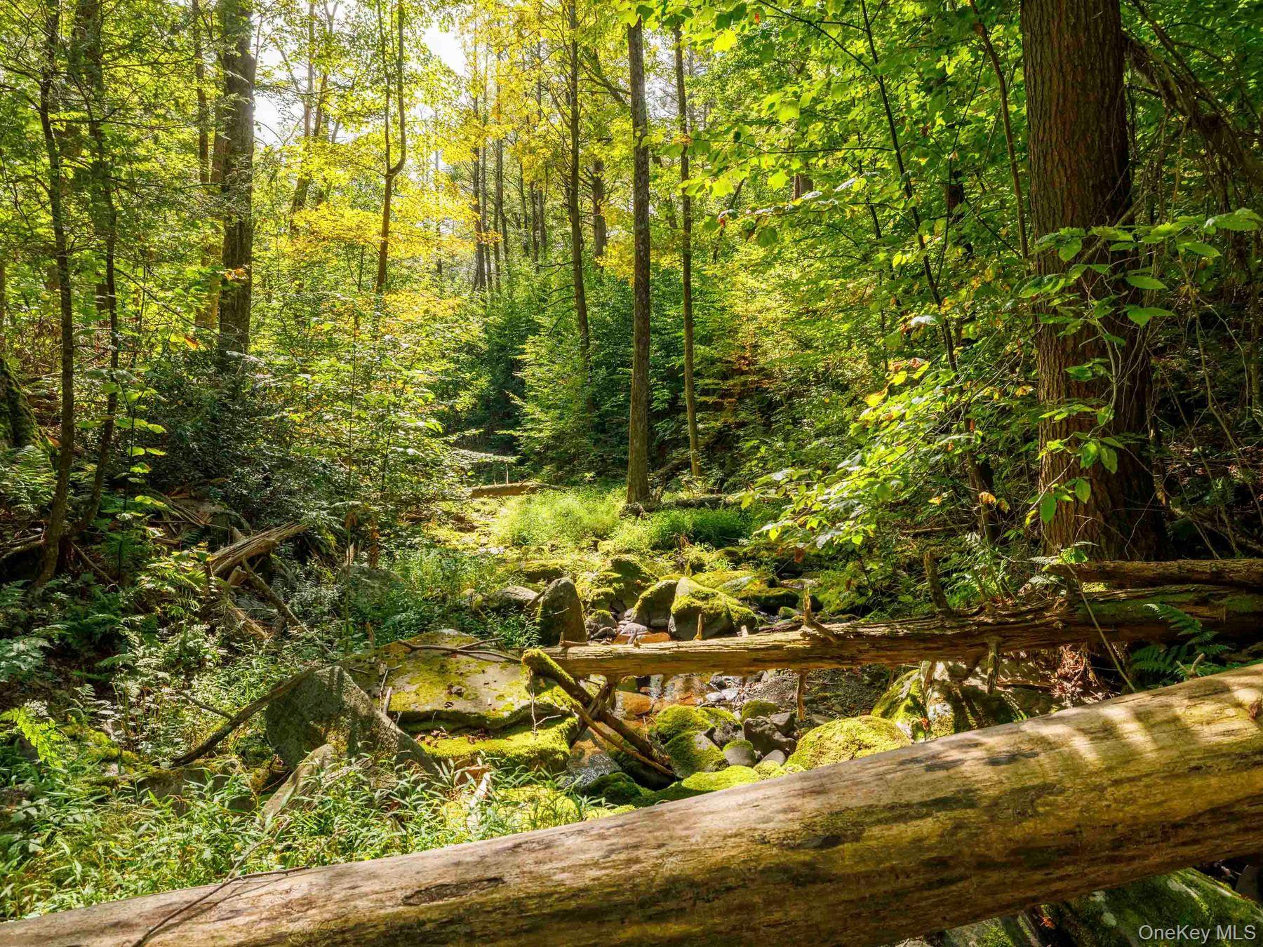 #19 photo, 197 Trails End Road, Kerhonkson , NY 12446