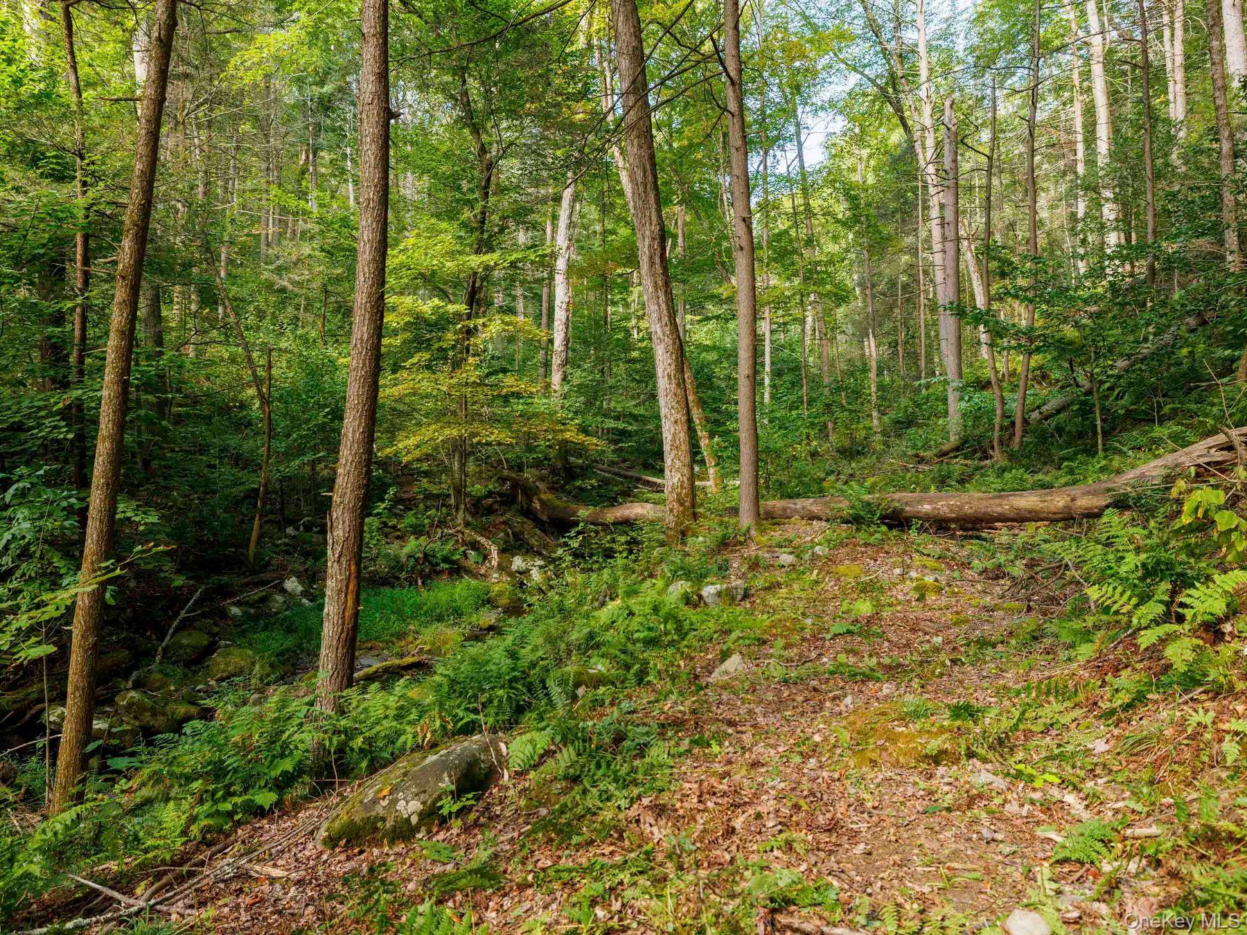 #20 photo, 197 Trails End Road, Kerhonkson , NY 12446