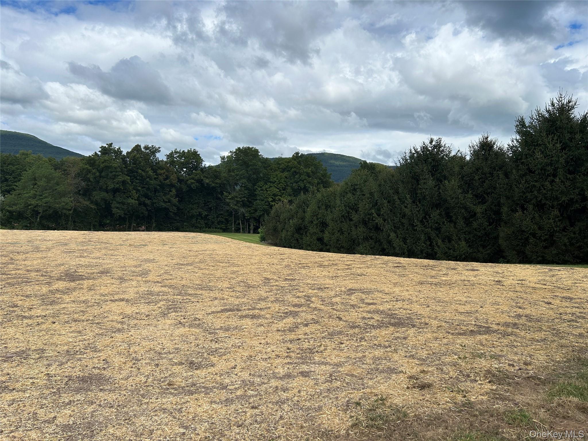 #12 photo, 4155 Route 32, Saugerties , NY 12477