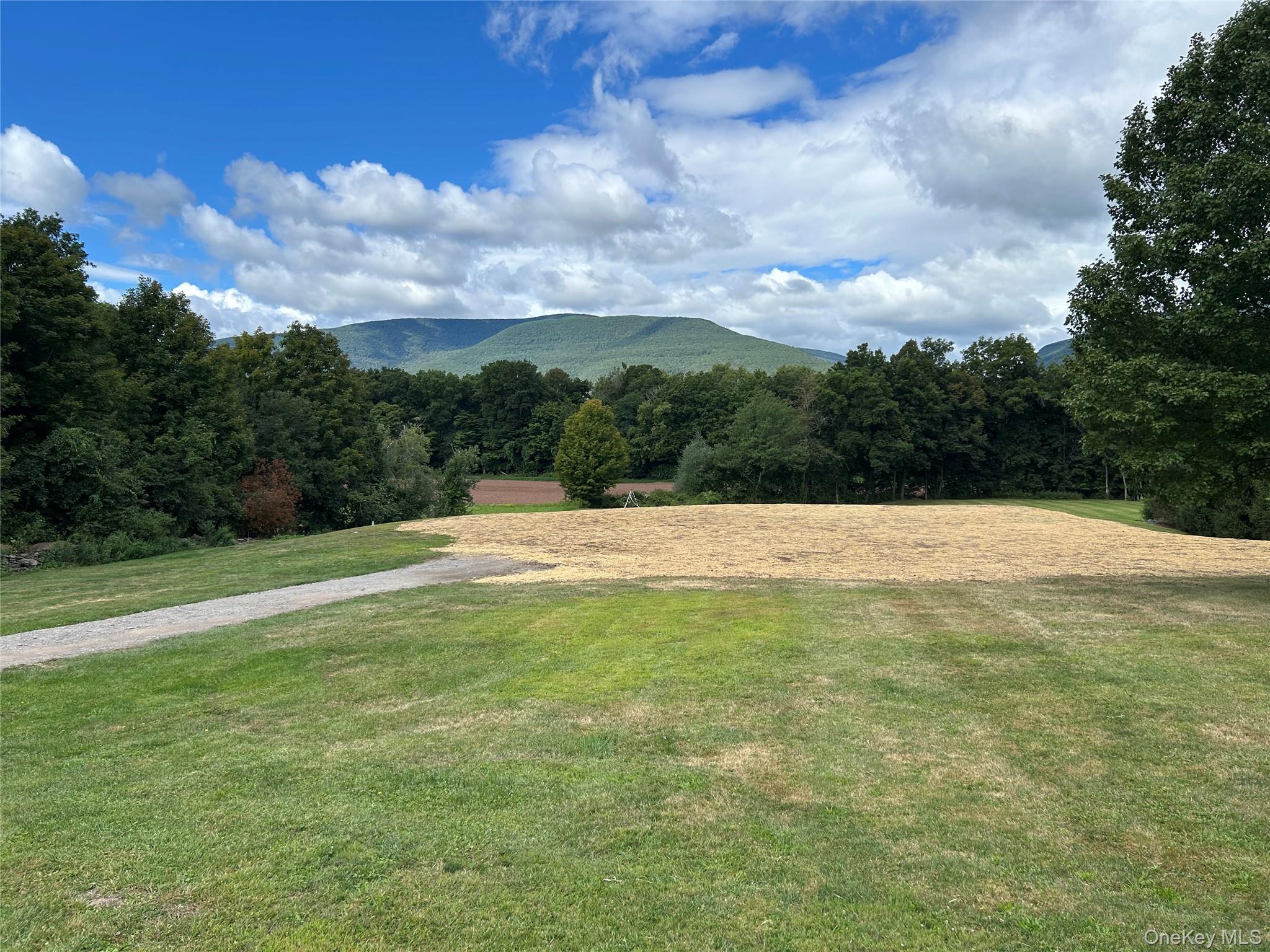 #9 photo, 4155 Route 32, Saugerties , NY 12477