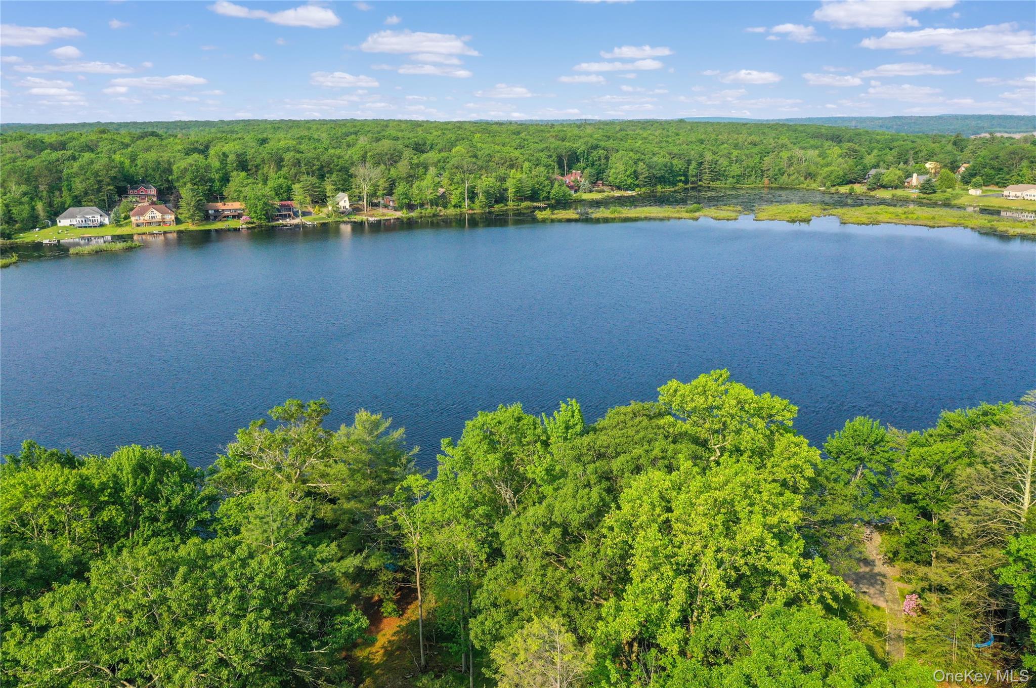 #8 photo, 119 Lake Shore Drive, Rock Hill , NY 12775