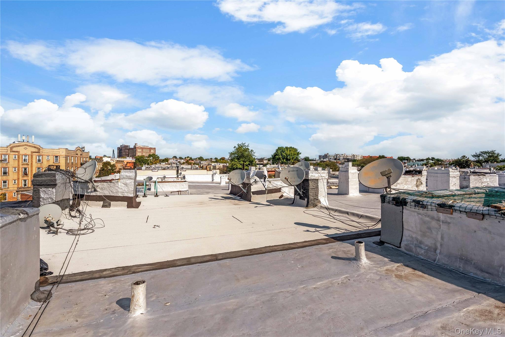 #7 photo, 59-05 Catalpa Avenue, Ridgewood , NY 11385