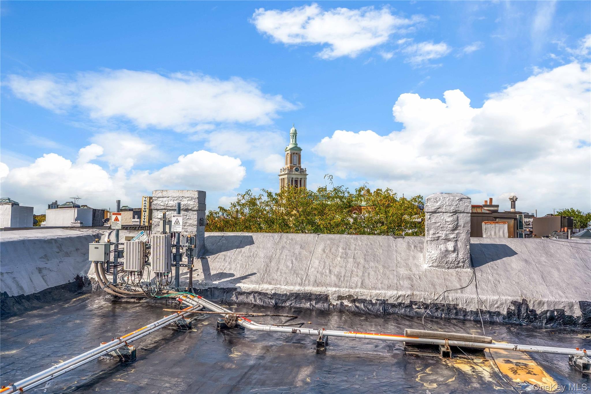 #9 photo, 59-05 Catalpa Avenue, Ridgewood , NY 11385