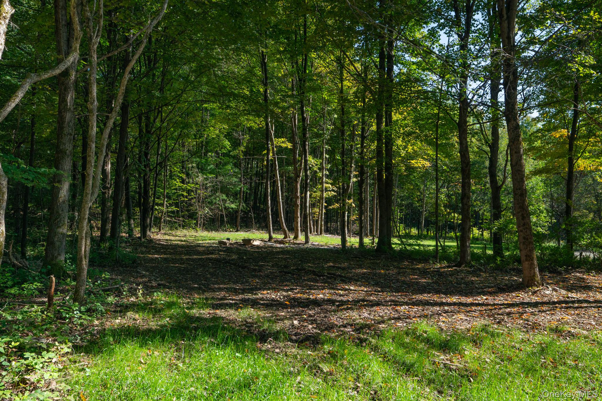 #16 photo, 2155 Ed Klug Road, Franklin , NY 13775