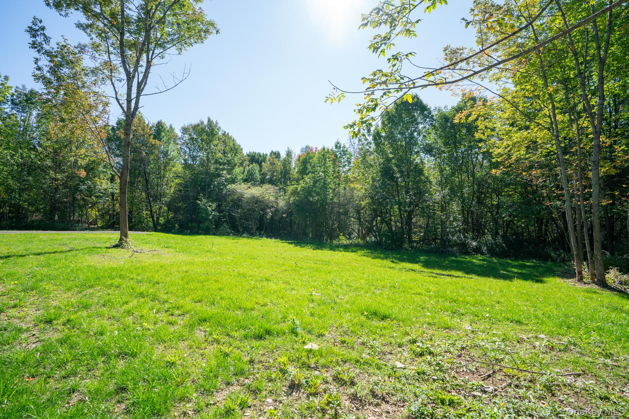 #20 photo, 2155 Ed Klug Road, Franklin , NY 13775