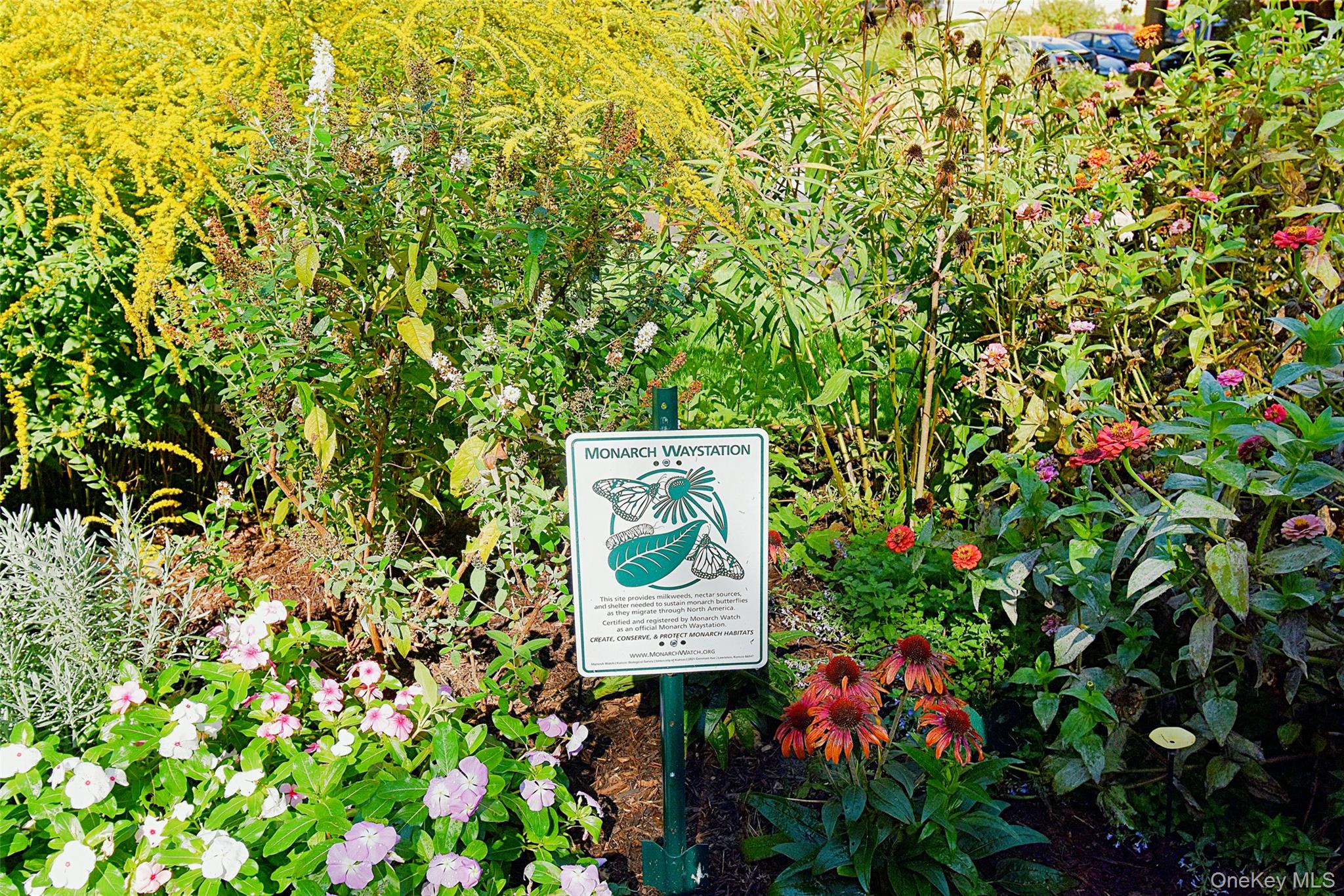 #16 photo, 4 Park Lane, Mount Vernon , NY 10552