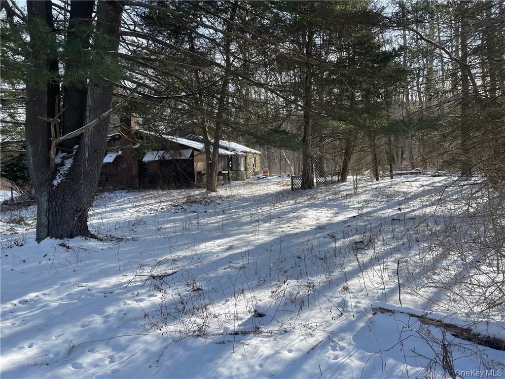 #3 photo, 88 Velie Road, Lagrangeville , NY 12540