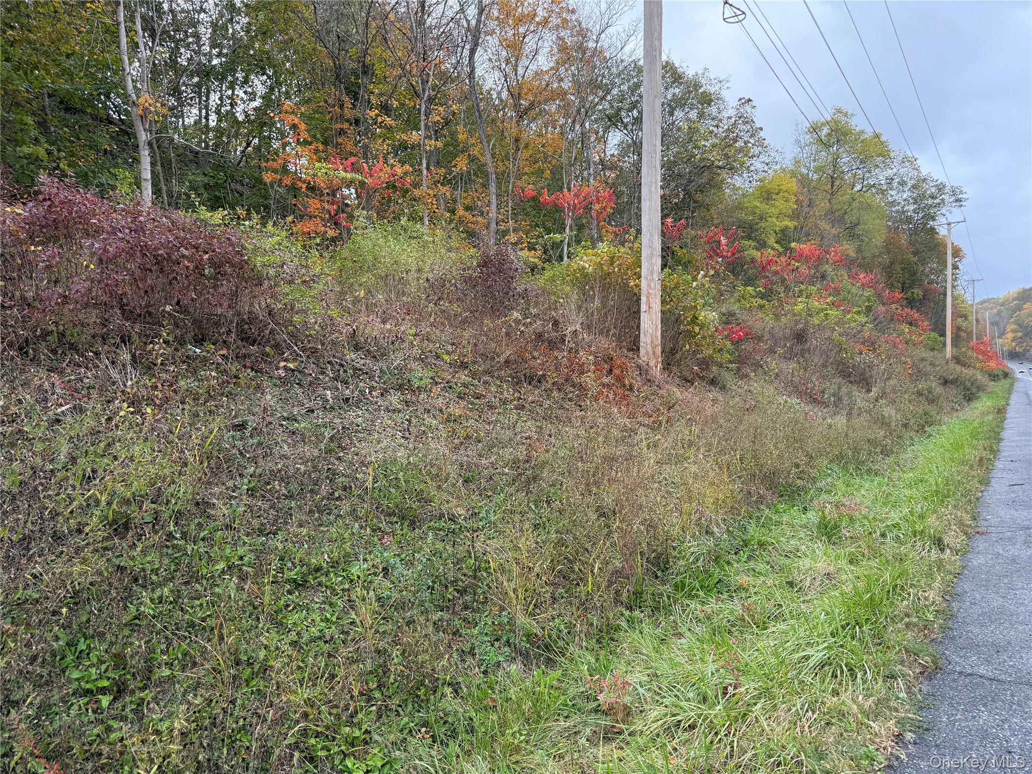 #4 photo, 2679 Route 9W, Saugerties , NY 12477