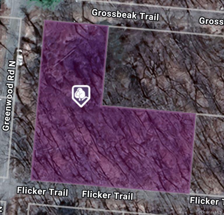 #1 photo, Flicker Trail, Wurtsboro , NY 12790