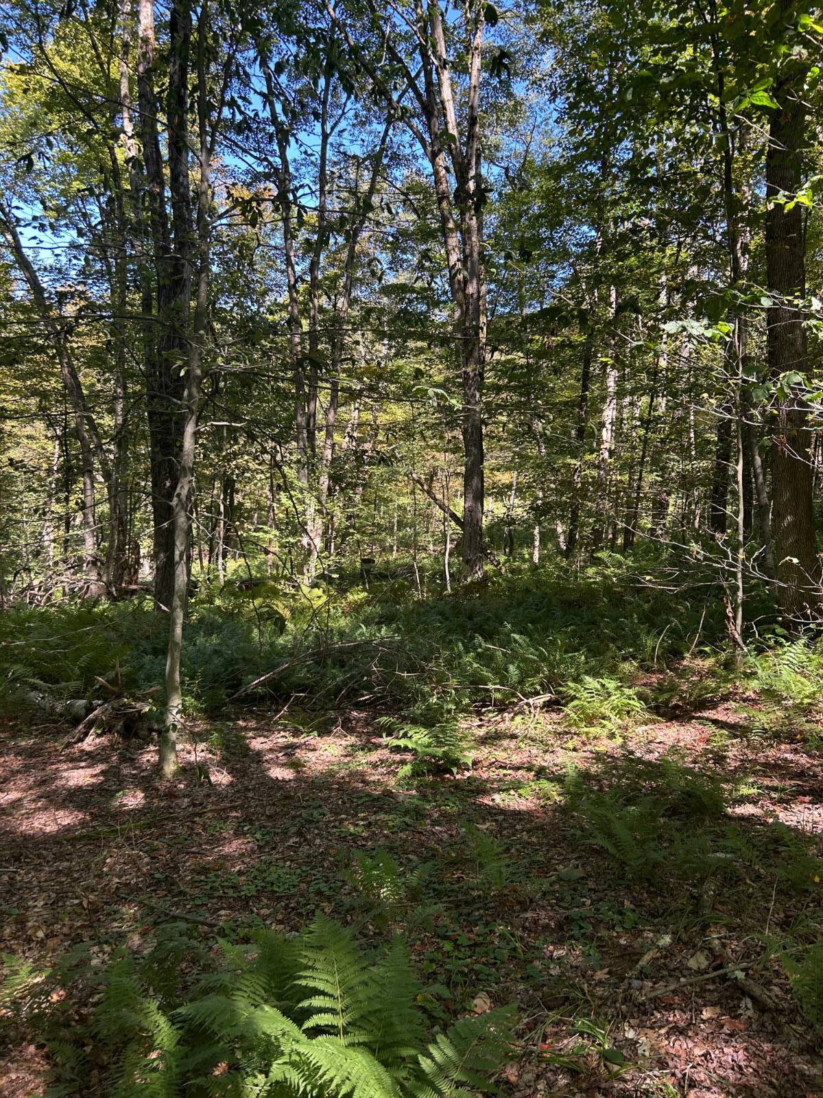 #11 photo, 0 Hathaway Pond, Hancock , NY 13783