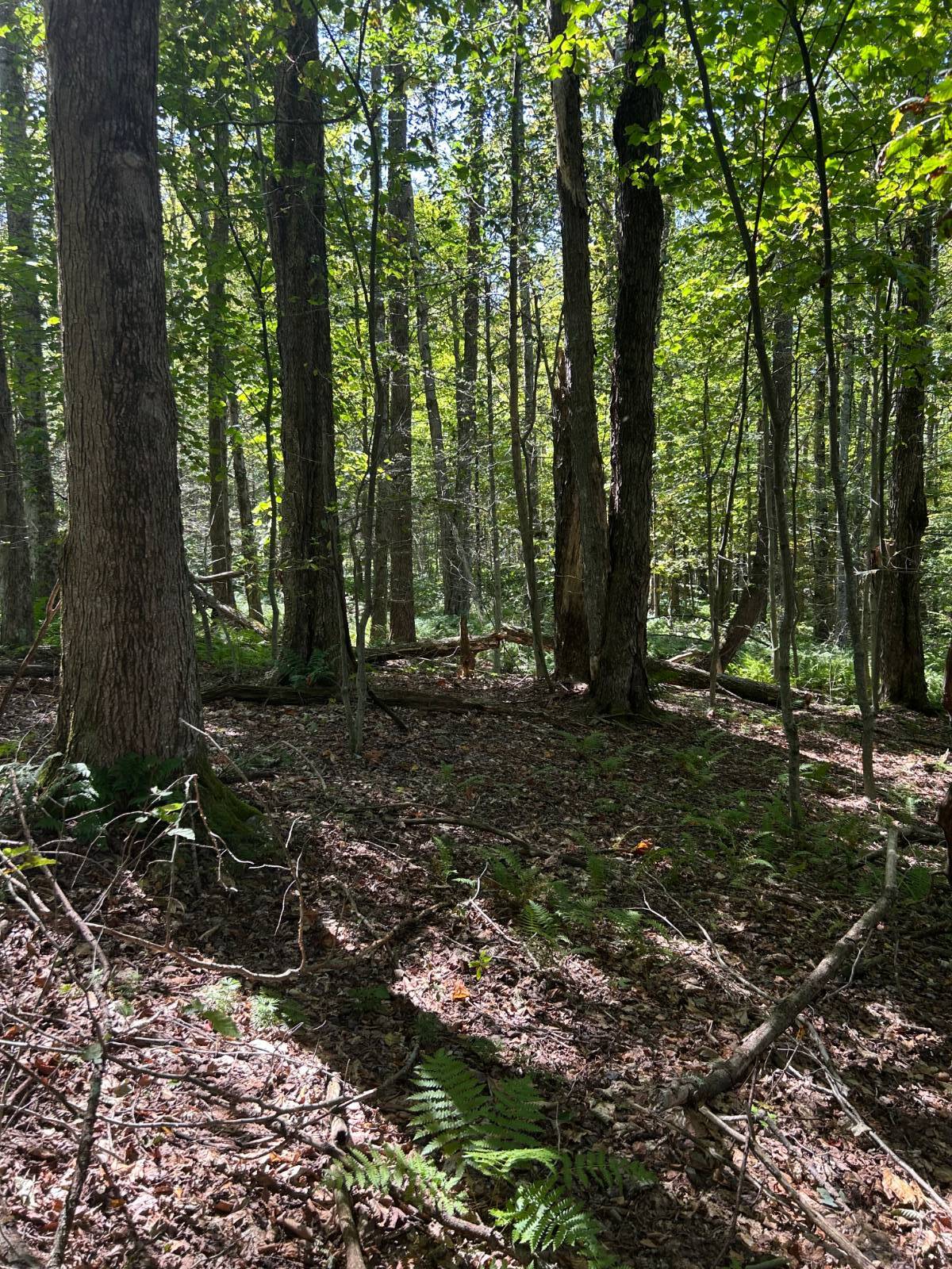 #12 photo, 0 Hathaway Pond, Hancock , NY 13783