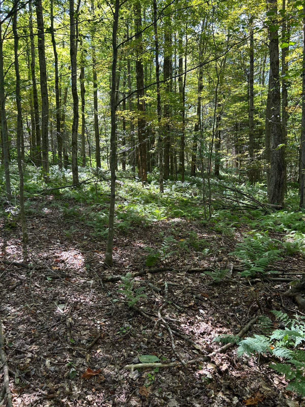 #13 photo, 0 Hathaway Pond, Hancock , NY 13783