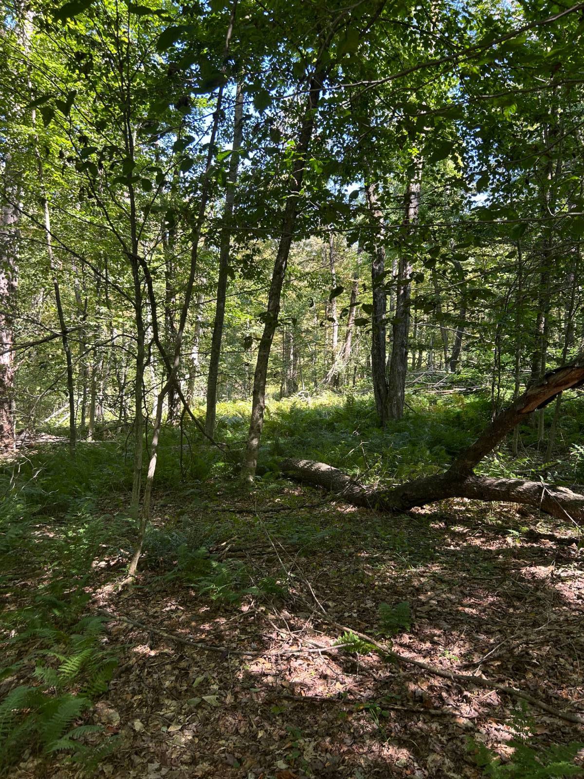 #14 photo, 0 Hathaway Pond, Hancock , NY 13783