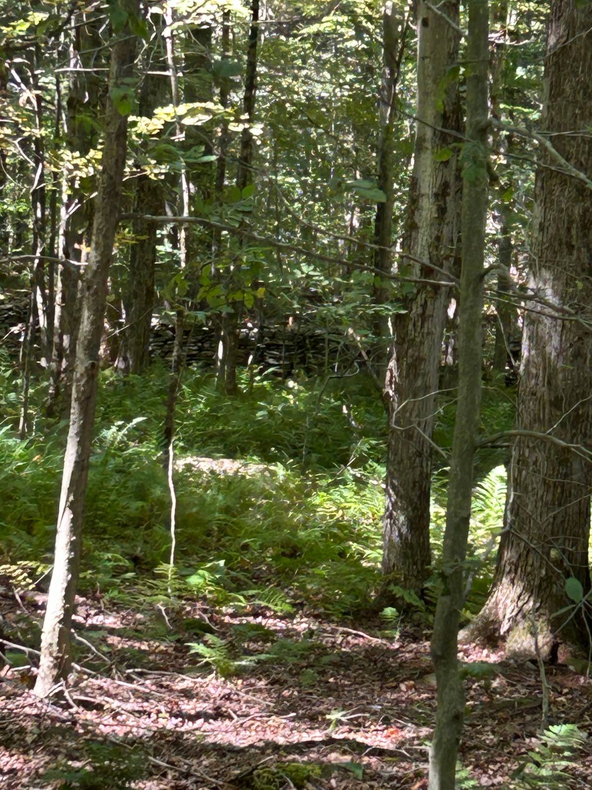 #15 photo, 0 Hathaway Pond, Hancock , NY 13783