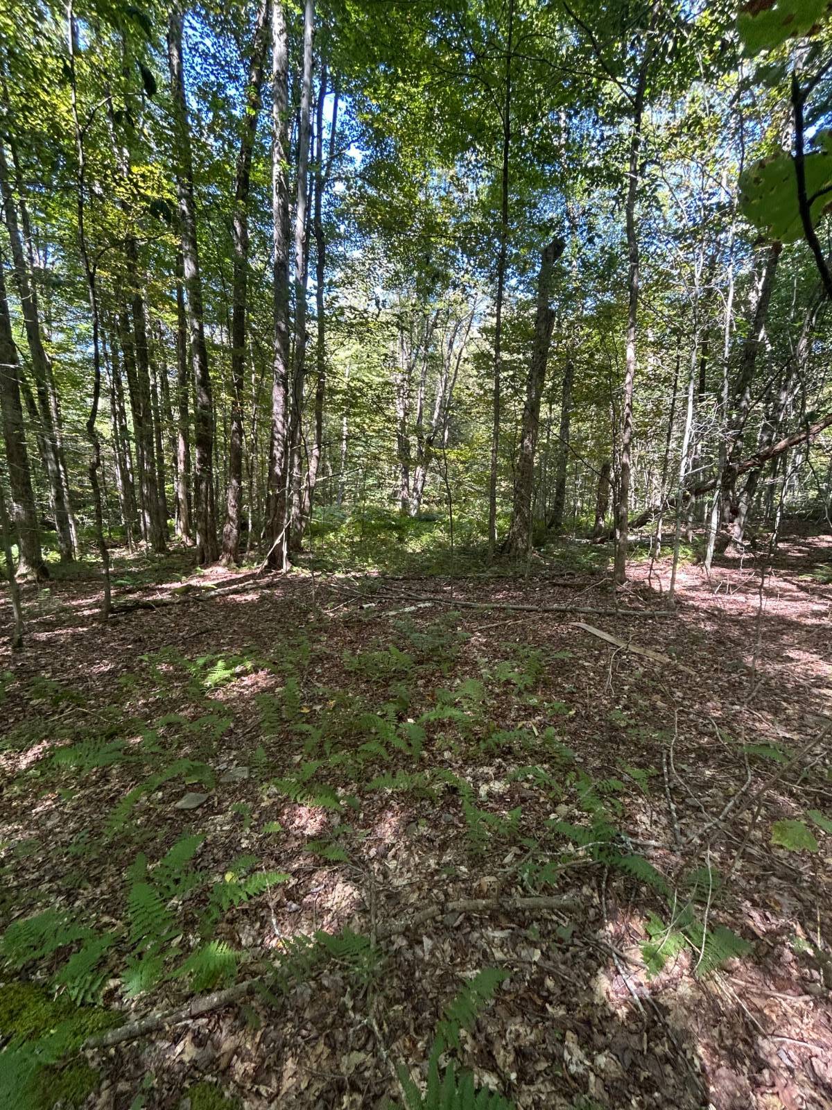 #16 photo, 0 Hathaway Pond, Hancock , NY 13783