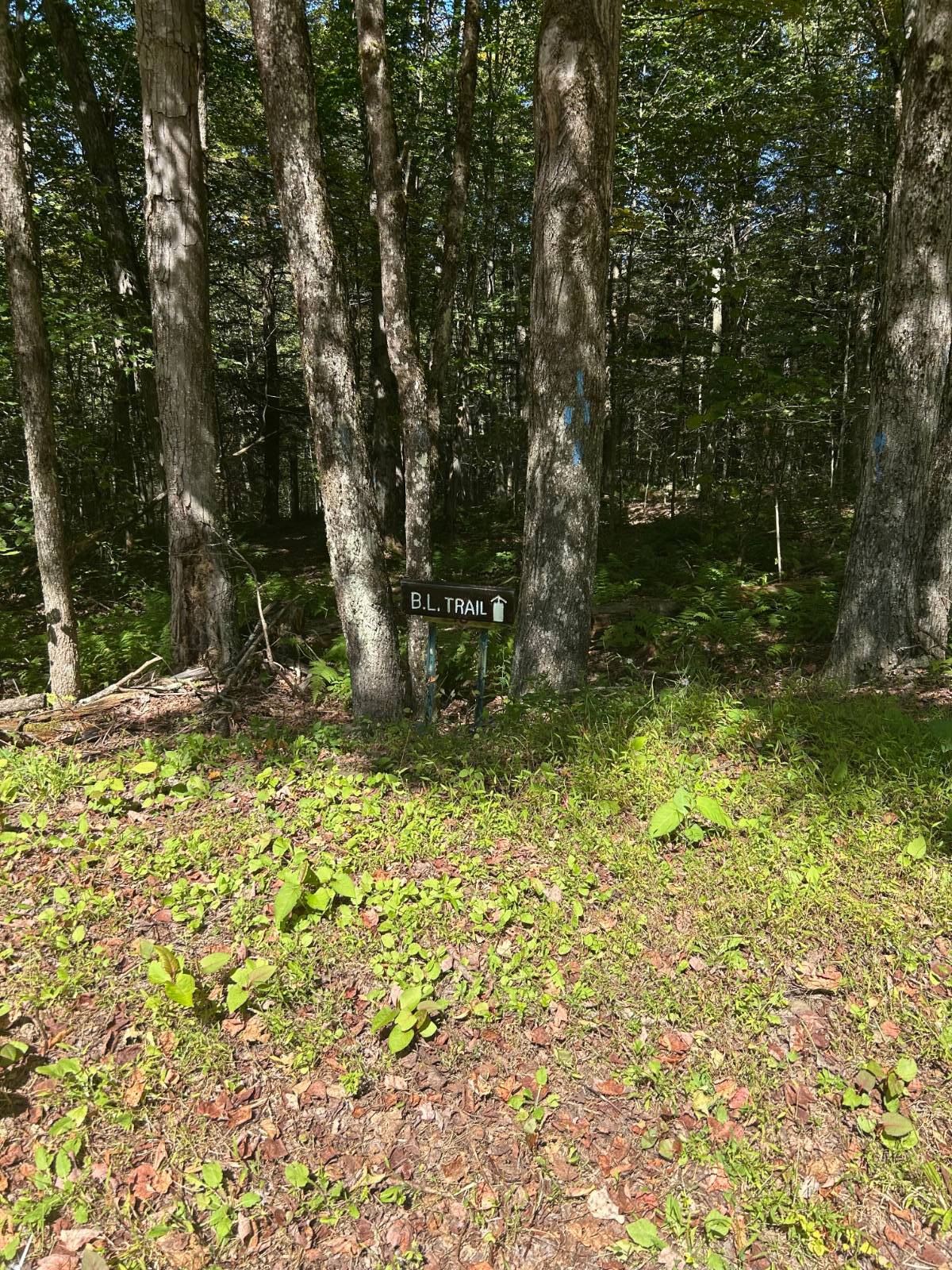 #17 photo, 0 Hathaway Pond, Hancock , NY 13783