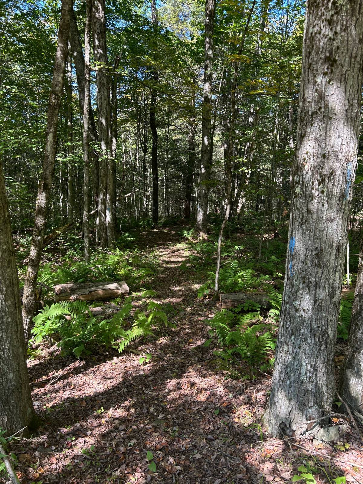 #18 photo, 0 Hathaway Pond, Hancock , NY 13783