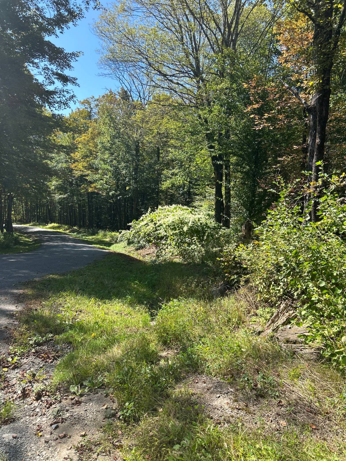 #2 photo, 0 Hathaway Pond, Hancock , NY 13783