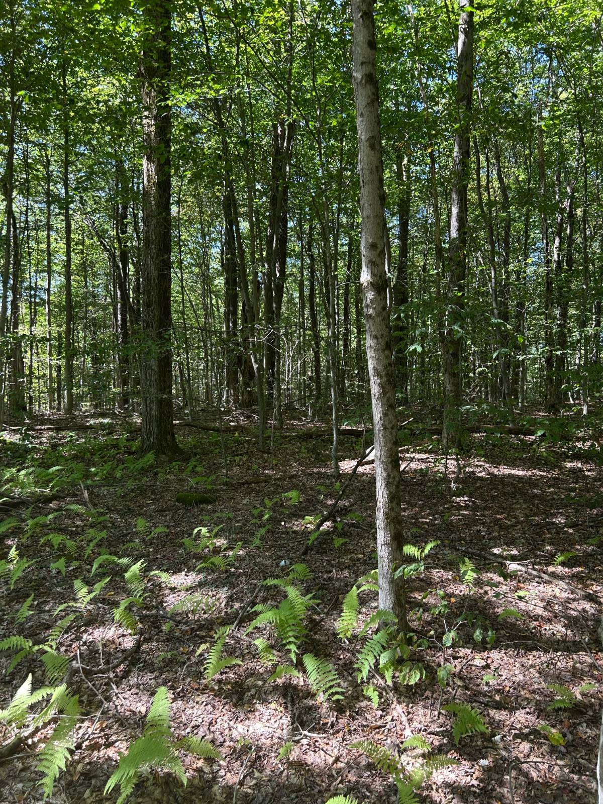 #4 photo, 0 Hathaway Pond, Hancock , NY 13783