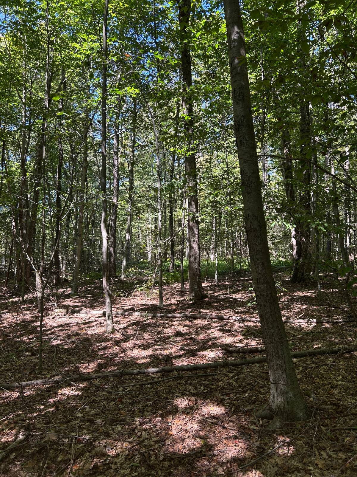 #5 photo, 0 Hathaway Pond, Hancock , NY 13783