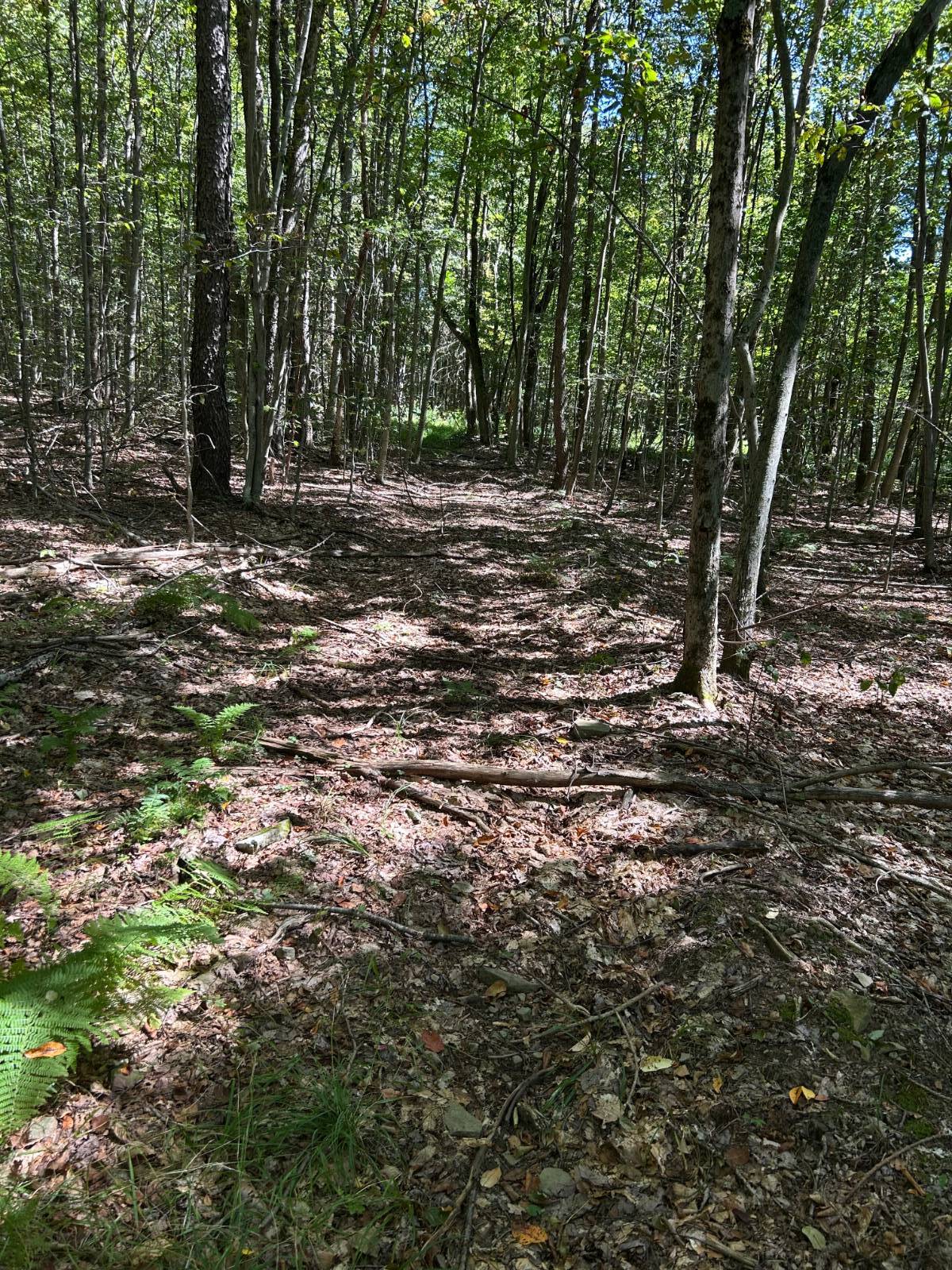 #7 photo, 0 Hathaway Pond, Hancock , NY 13783