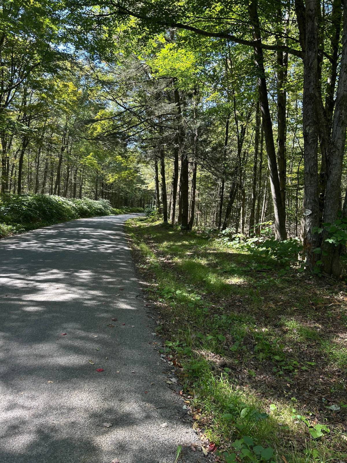 #8 photo, 0 Hathaway Pond, Hancock , NY 13783