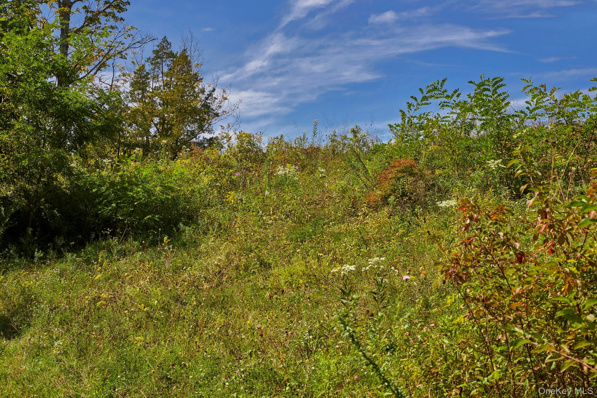 #10 photo, Mill Road, Rhinebeck , NY 12572