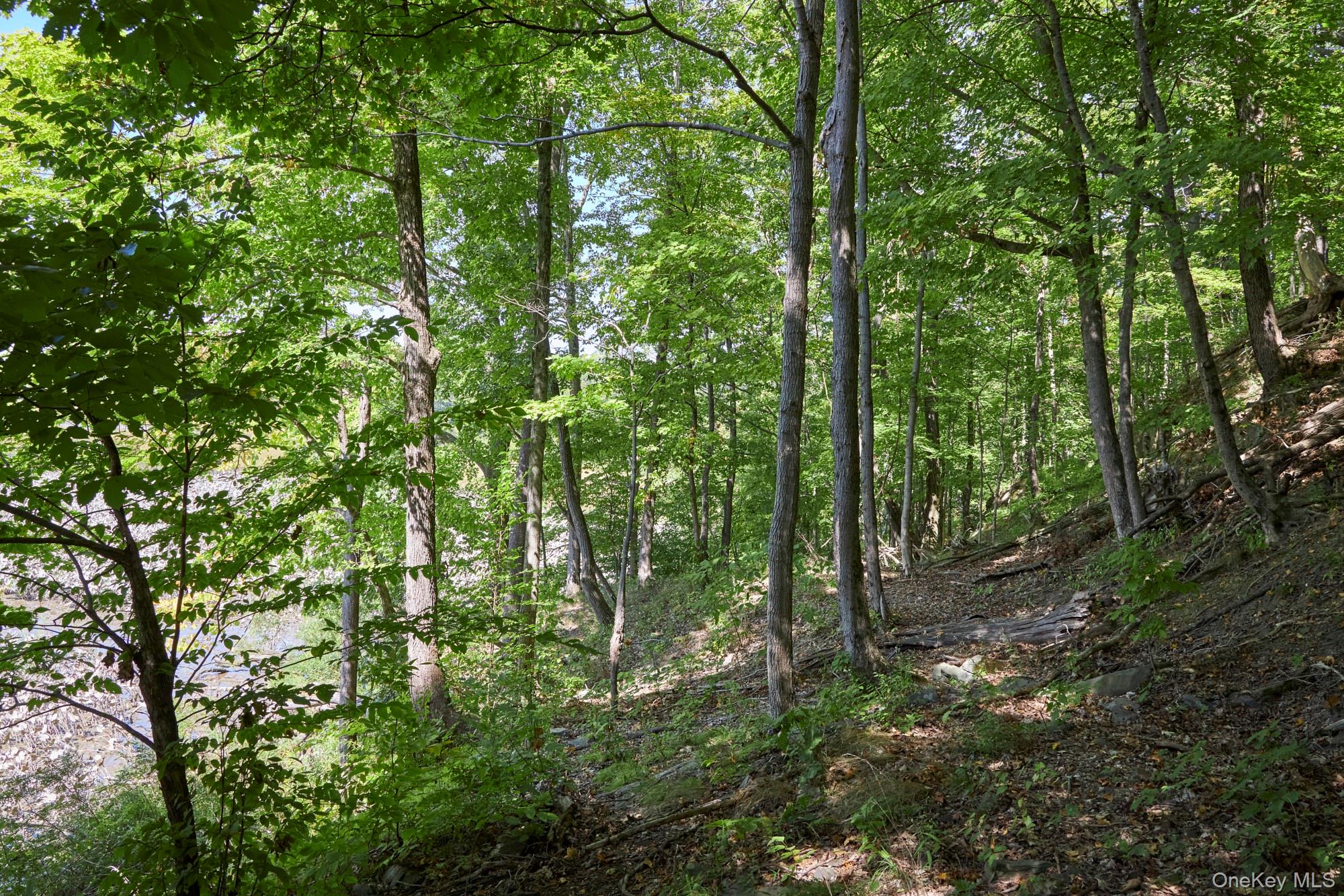 #12 photo, Mill Road, Rhinebeck , NY 12572