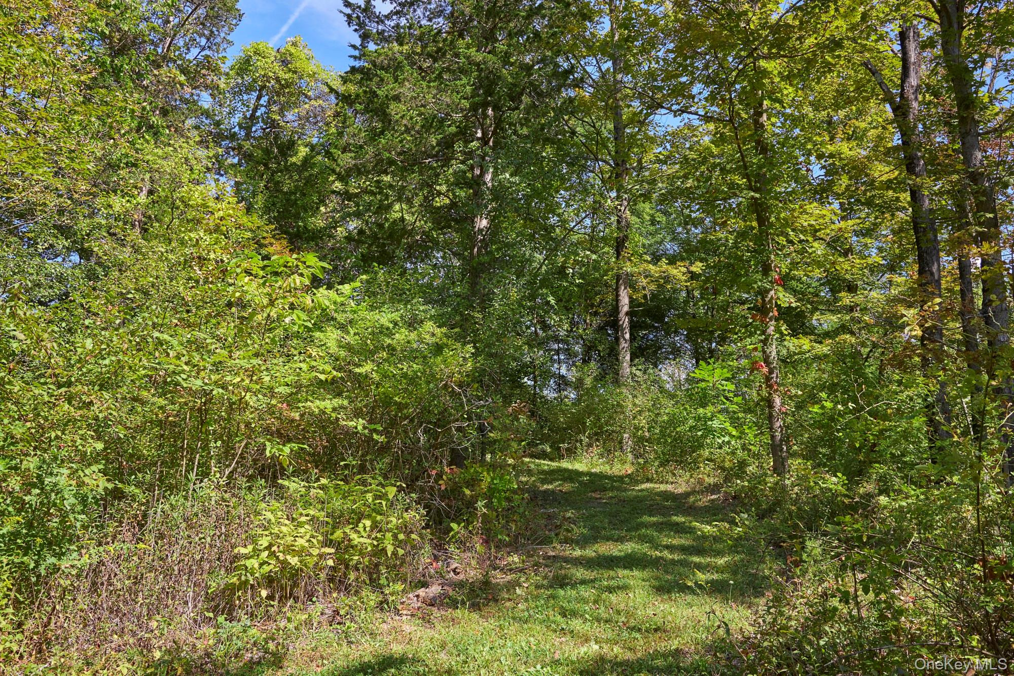 #13 photo, Mill Road, Rhinebeck , NY 12572