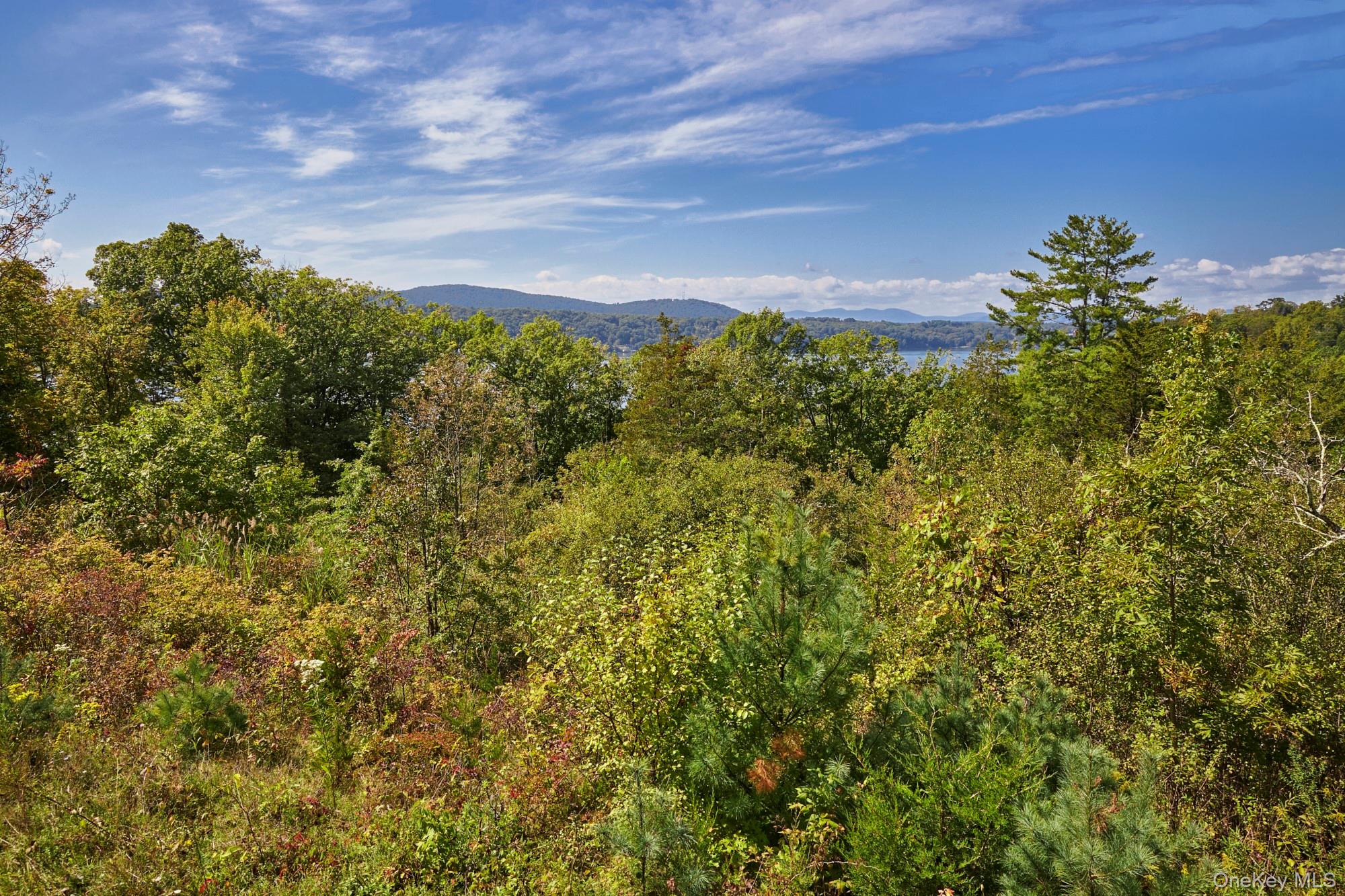 #15 photo, Mill Road, Rhinebeck , NY 12572